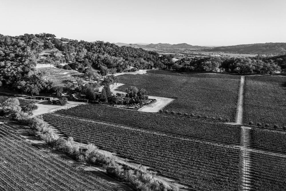 Aerial view of a Sonoma County Vineyard