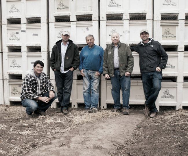 A group of men from Sangiocomo Family Vineyards standing in front of wine grape containers
