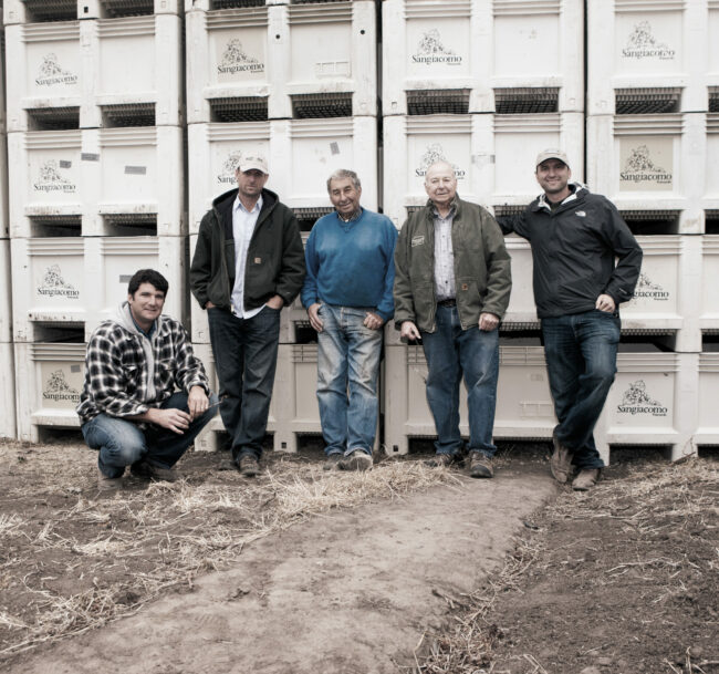 A group of men from Sangiocomo Family Vineyards standing in front of wine grape containers