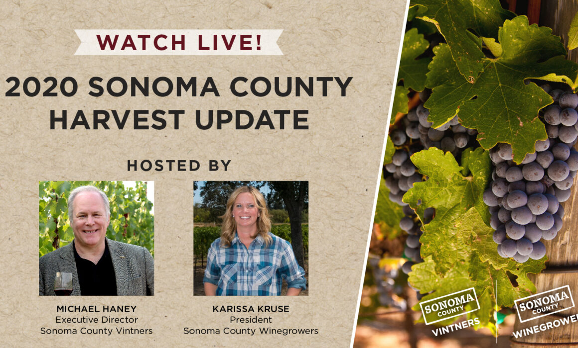Promo for the 2020 Sonoma County Harvest Update
