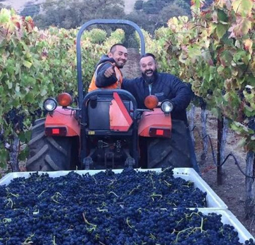 Winegrowers giving a thumbs up during harvest