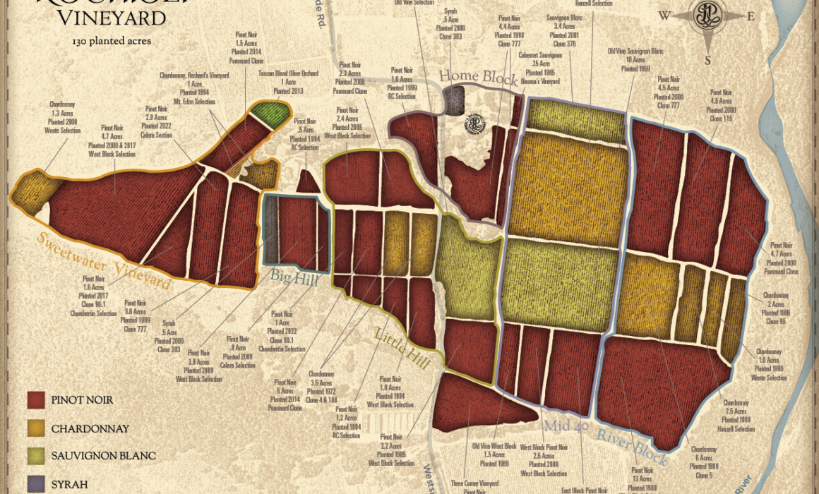 Vineyard map for Rochioli Vineyard