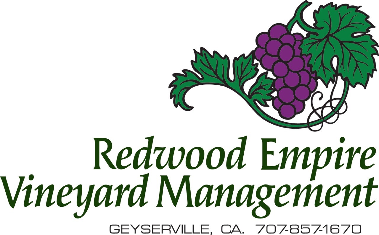 REVM Logo Redwood Empire Vineyard Management Logo