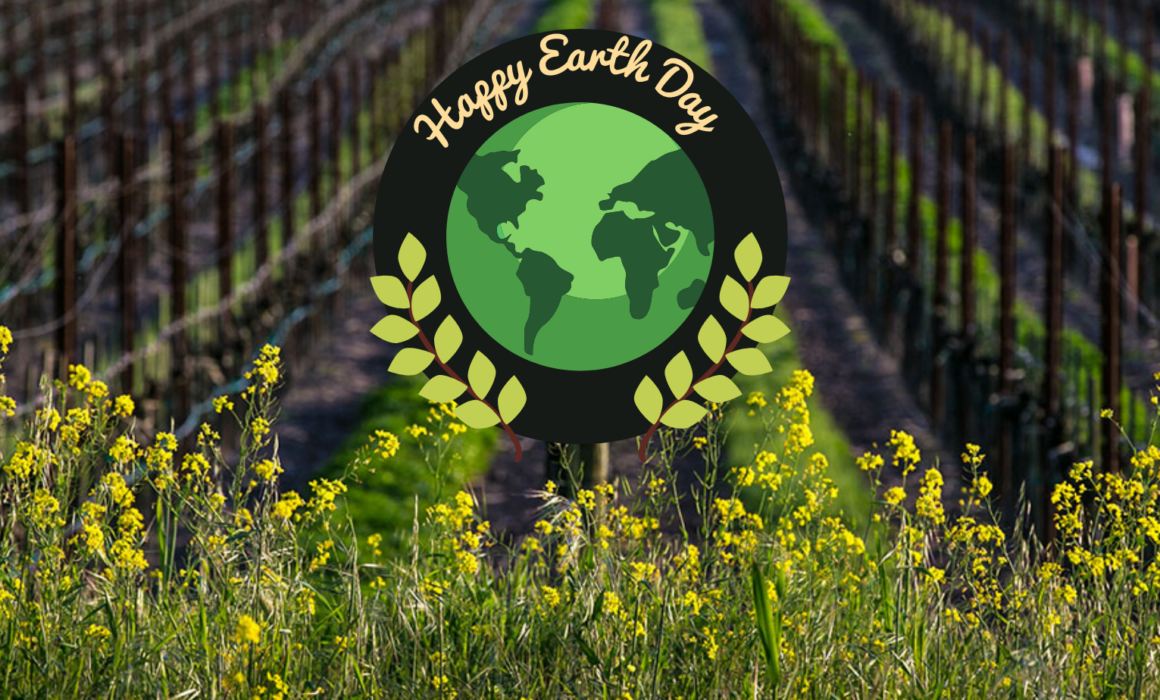 Happy Earth Day promo