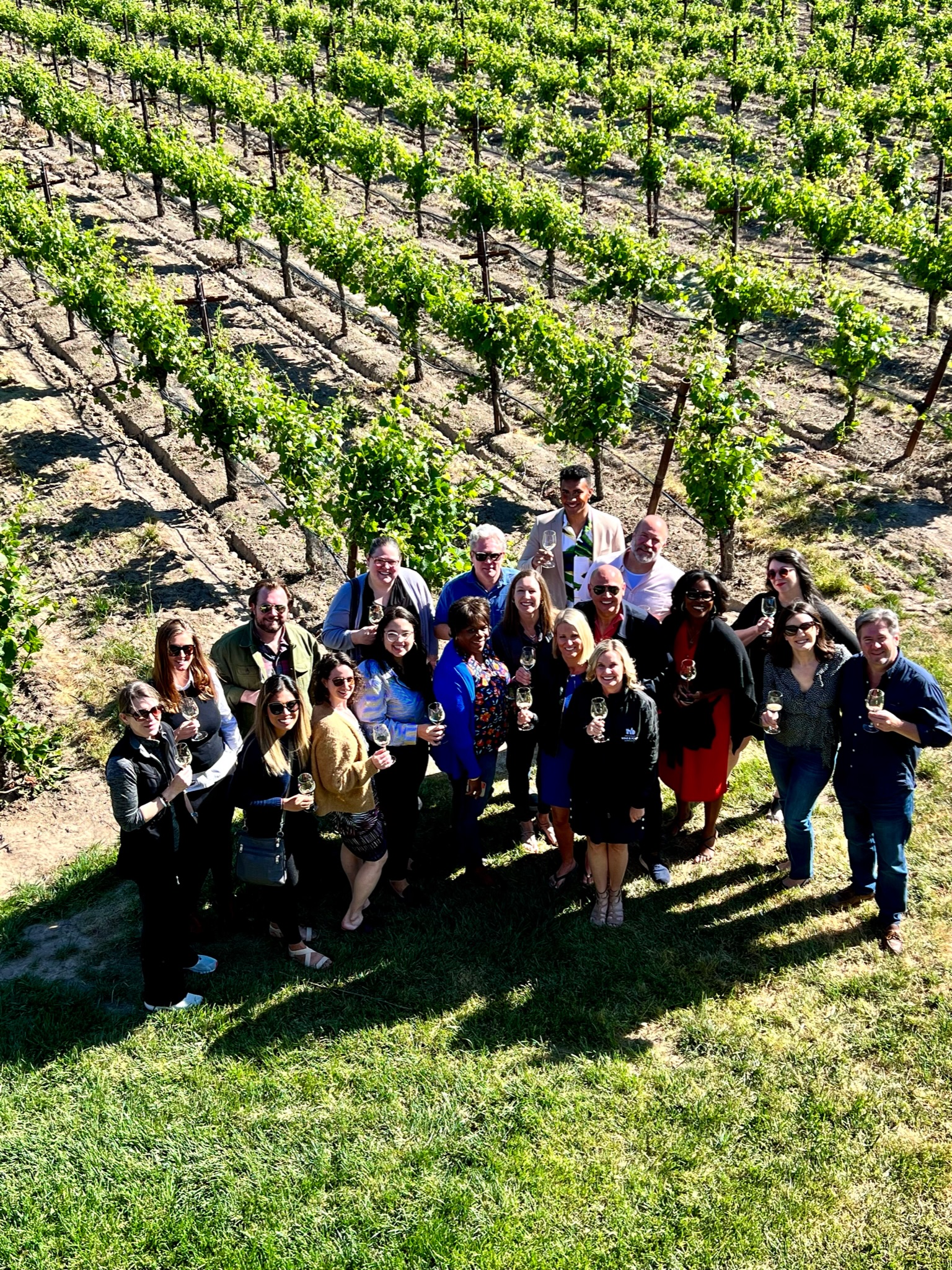 Sonoma County Wine Growers team posting in the vineyard