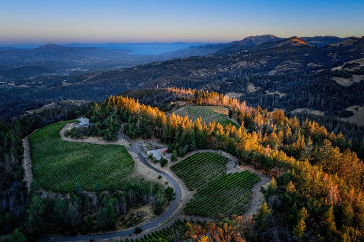 Aerial view of the vineyards