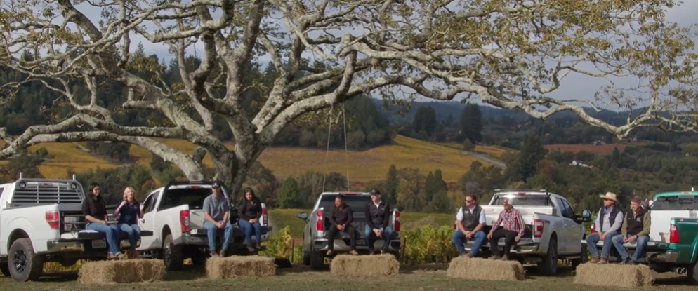 People sitting on the tailgates of 5 trucks