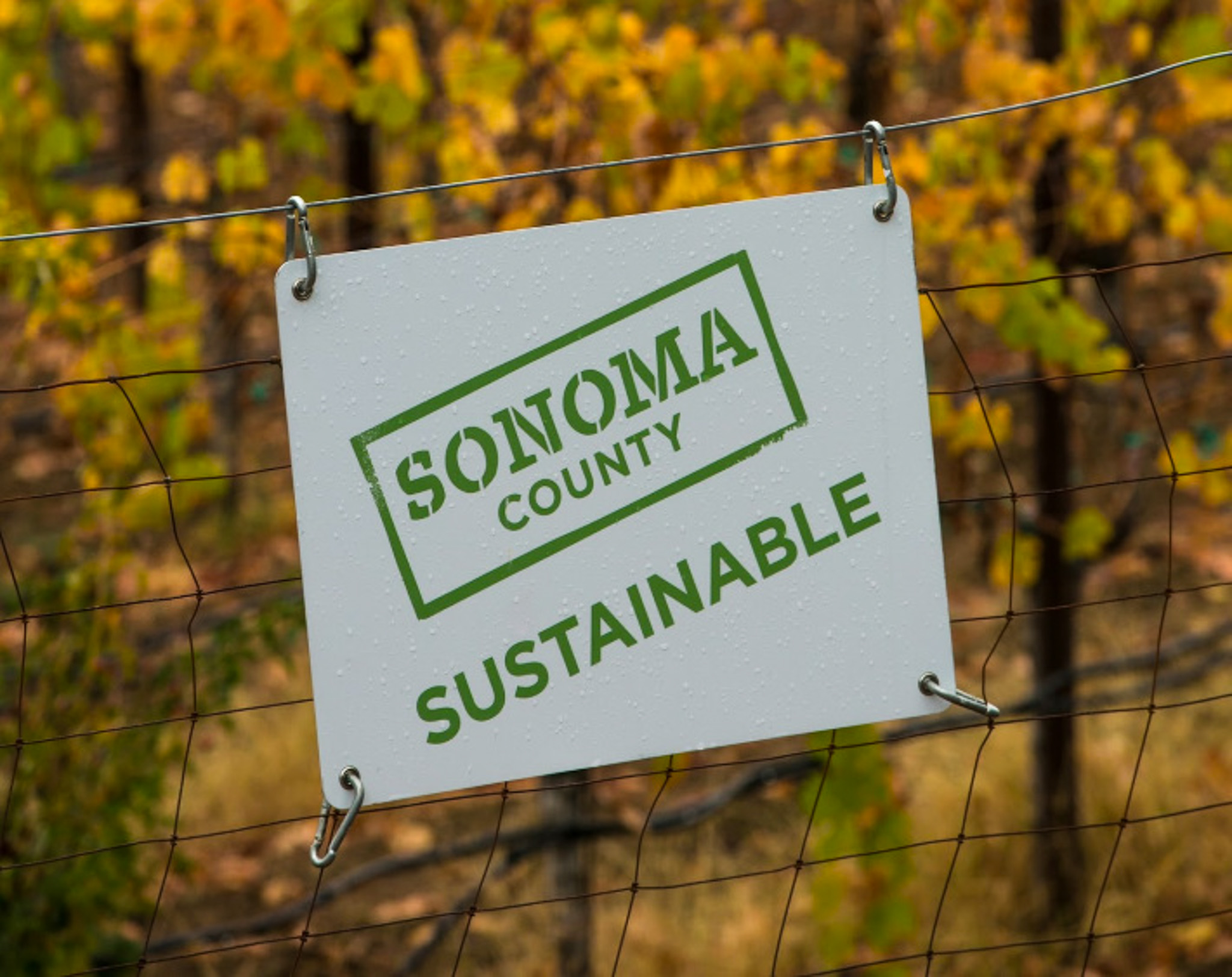 Sonoma County Sustainable sign on a fence