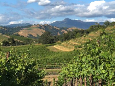 Alexander Valley Hillside Cabernet Sauvignon