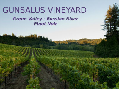 Rusian River/Green Valley Pinot Noir