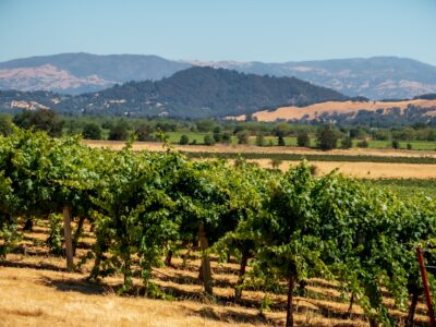 Russian River Valley - Westside Road Pinot Noir