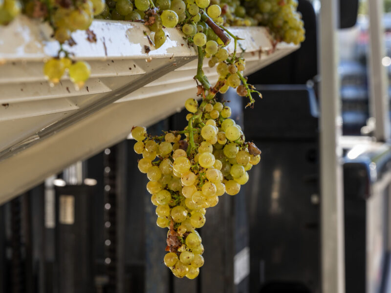 Russian River Valley Westside Road Chardonnay