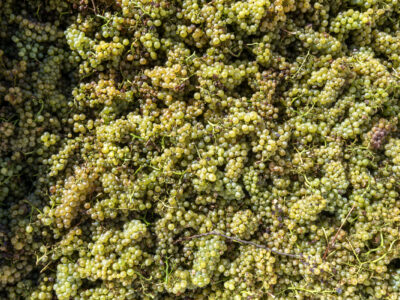 Russian River Valley Westside Road Chardonnay