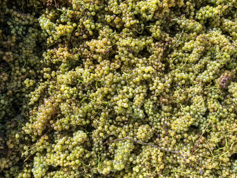 Russian River Valley Westside Road Chardonnay