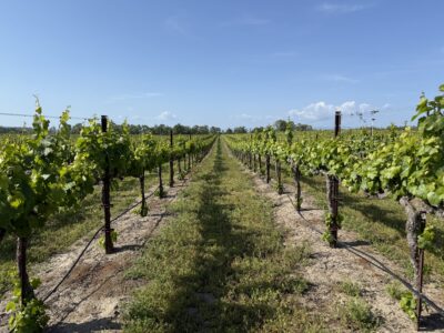 Russian River Chardonnay