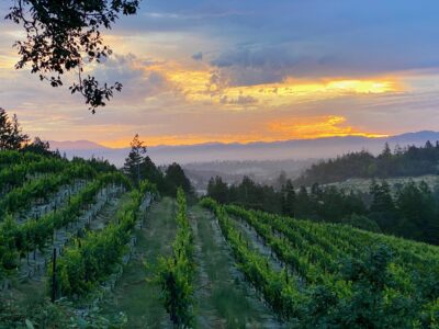 Cool West Sonoma County Pinot Noir