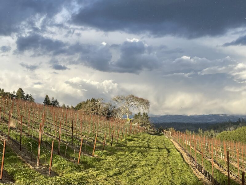 Cool West Sonoma County Pinot Noir